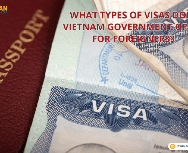 What Types of Visas does Vietnam Government offer for foreigners?