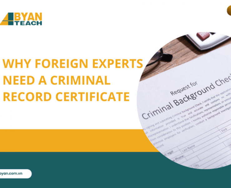 Why Foreign Experts Need A Criminal Record Certificate In Applying For Vietnam Work Permit